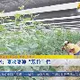 精选欧预赛：巧夺天工草根情怀即将焕发的简单介绍